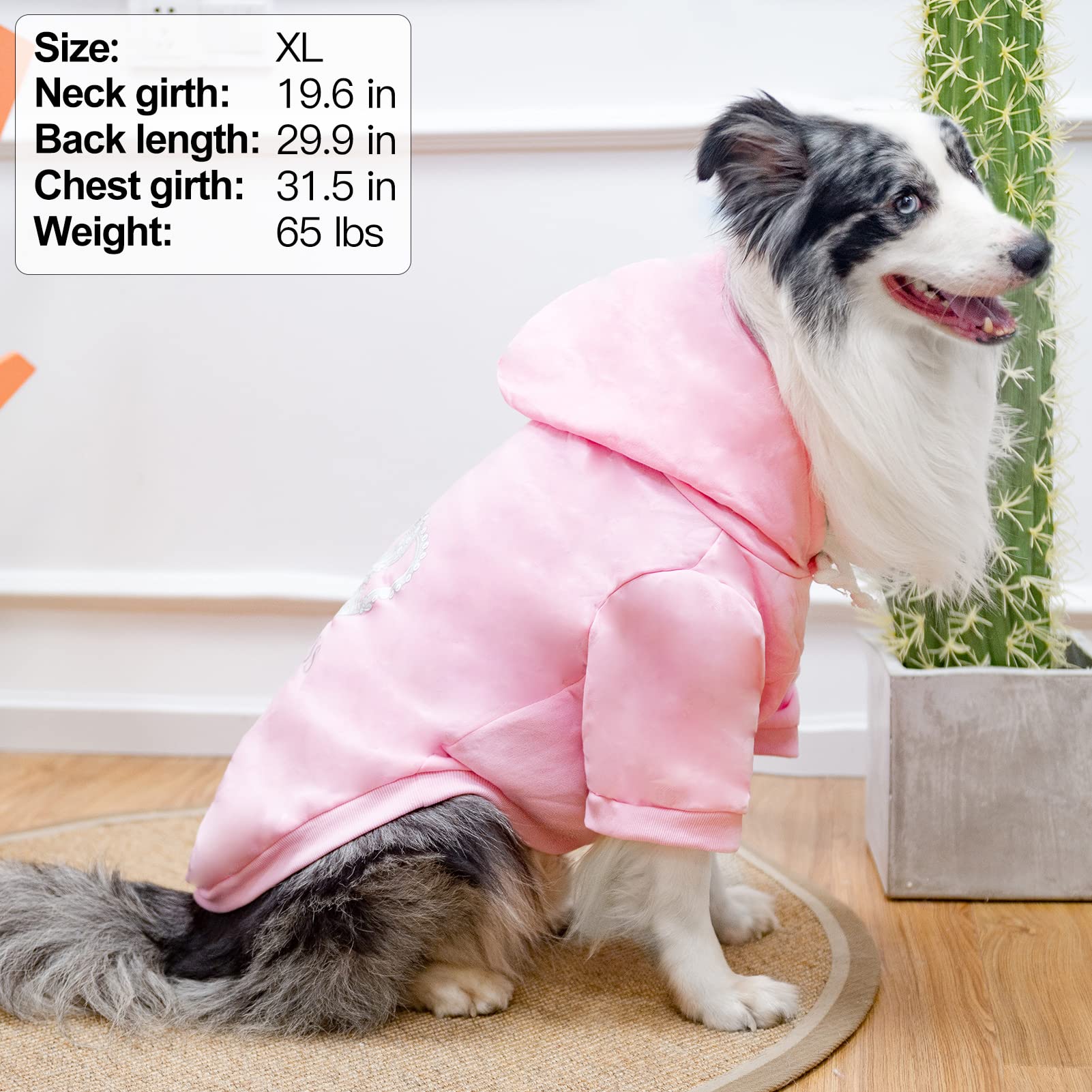 EXPAWLORER Princess hoodie sizes cover small to large dogs for versatile wardrobes.