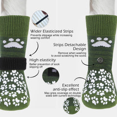 EXPAWLORER proteccion patas para pavimento caliente y asfalto