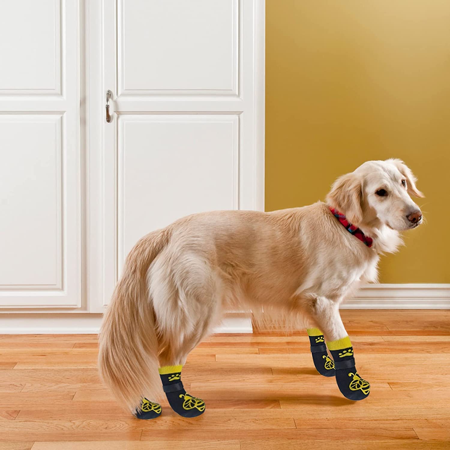 EXPAWLORER protección de patas para interiores ideal para uso diario