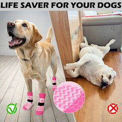 EXPAWLORER protección de patas para todas las estaciones, confort diario.