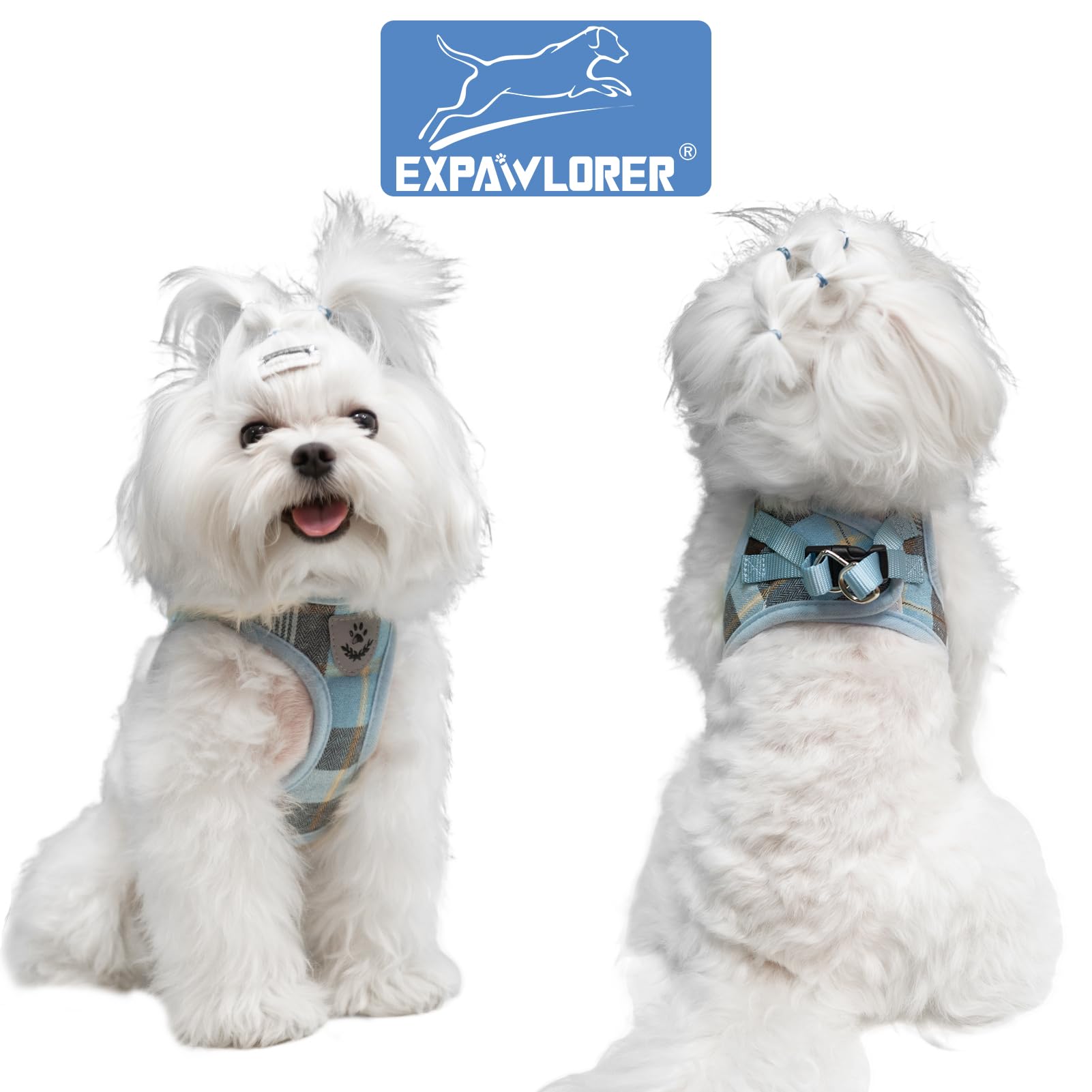 EXPAWLORER reflective trim harness for safer night walks.