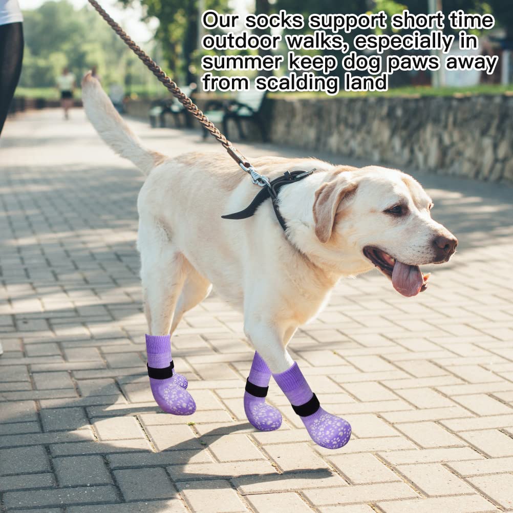 EXPAWLORER secure belt fastener keeps socks in place during activity