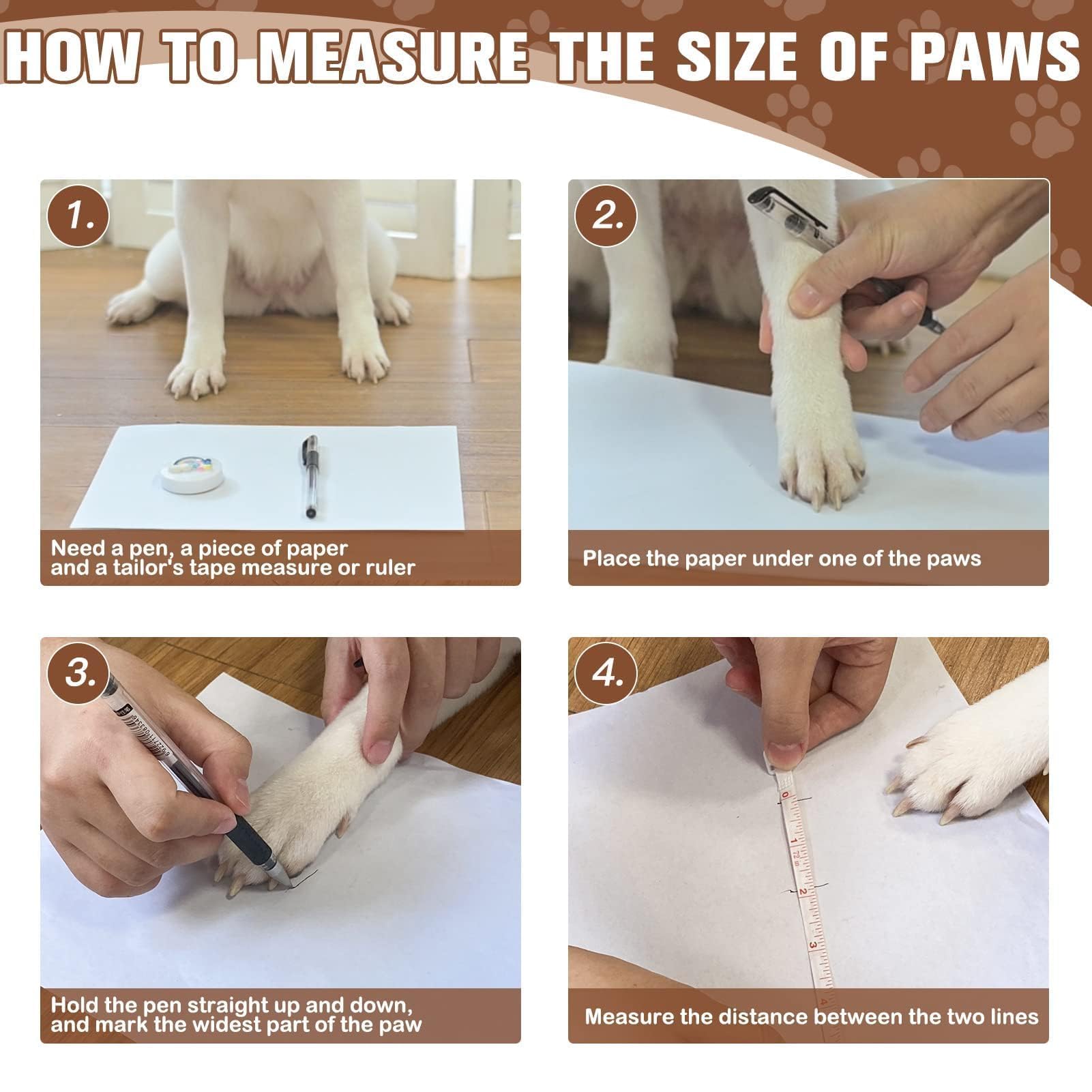 EXPAWLORER senior dog use-case shows stability and comfort
