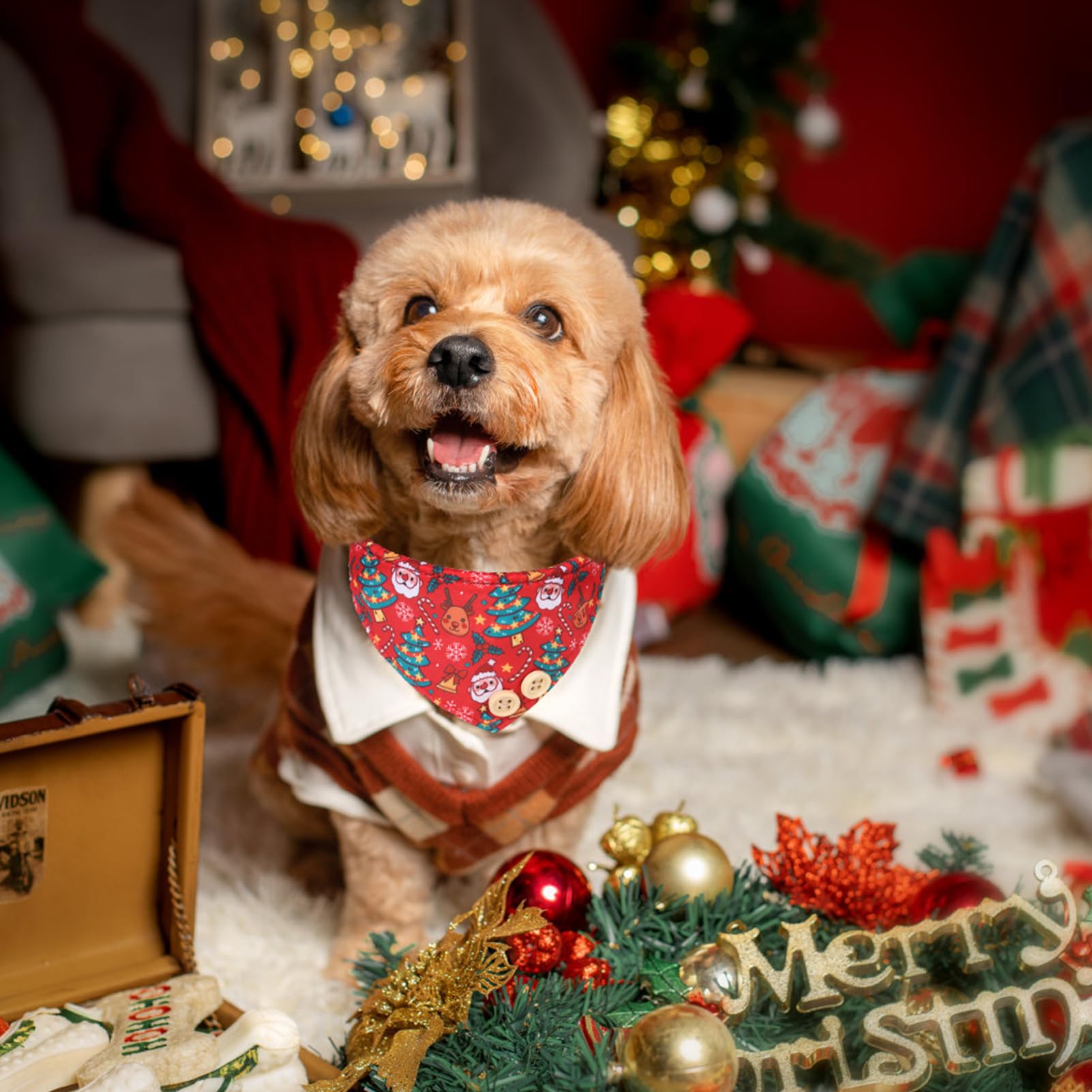 EXPAWLORER collar navideño y correa, ideal para salidas diarias seguras.