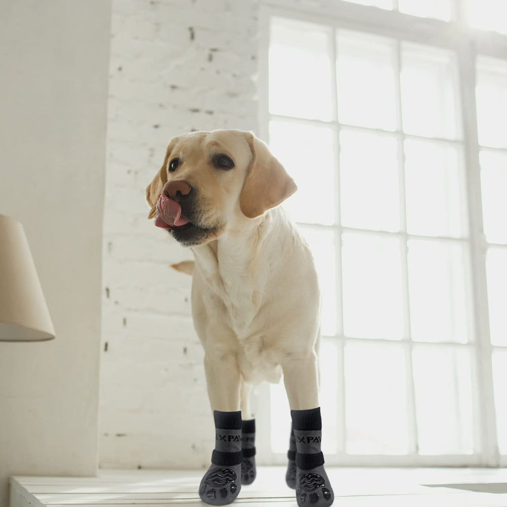 EXPAWLORER tallas flexibles aseguran ajuste cómodo para cada pata.