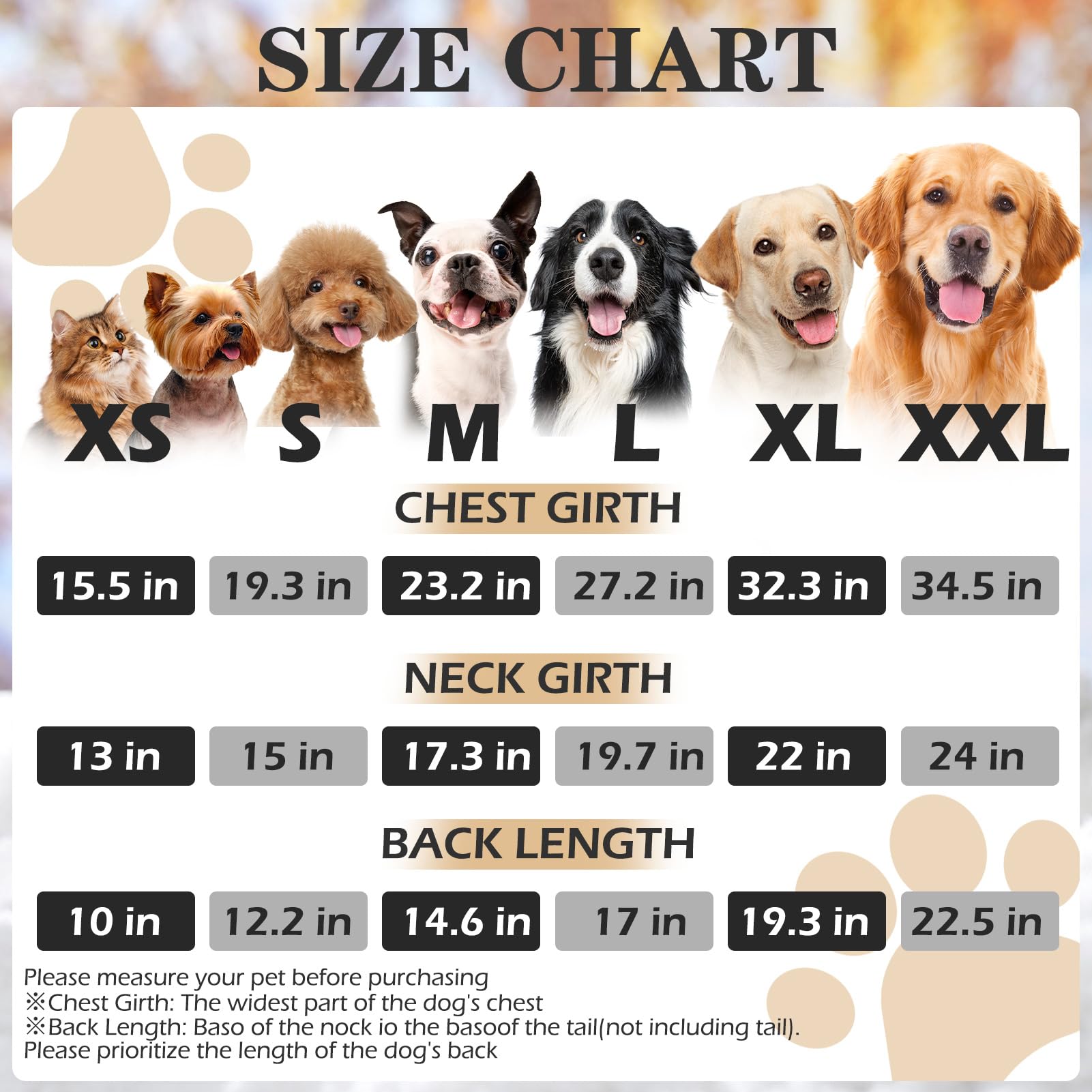 EXPAWLORER textured cable-knit dog hoodie back view shows snug fit and cozy warmth