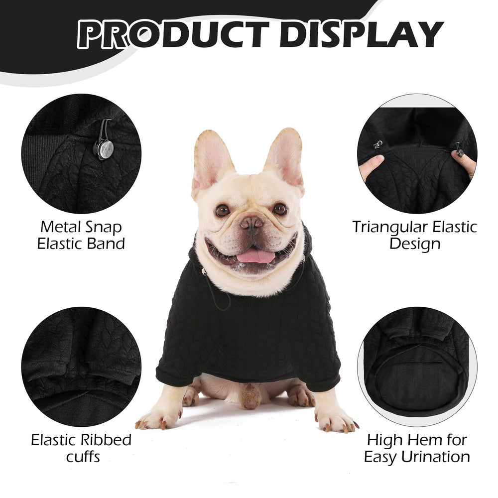 EXPAWLORER leash-hole detail for easy leash attachment during walks