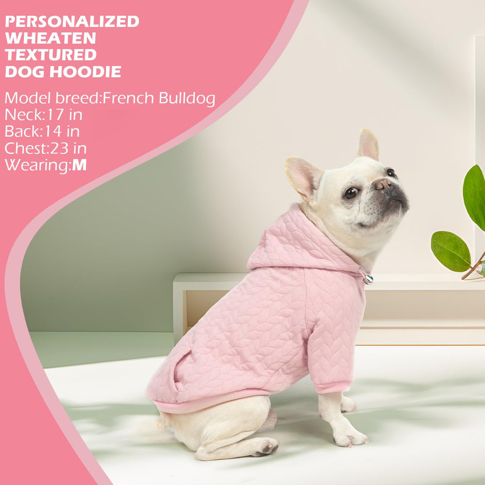 EXPAWLORER all-season design suits walks, travel, and photoshoots.