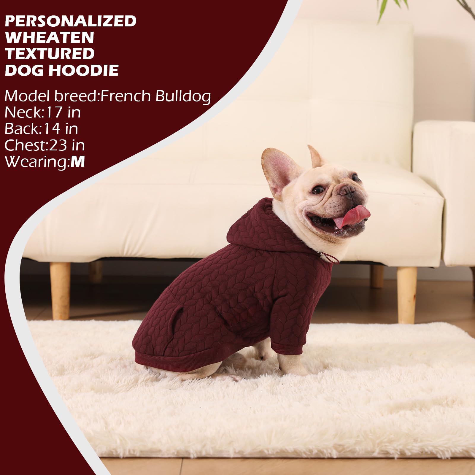 EXPAWLORER dog hoodie ideal for daily walks in cold weather