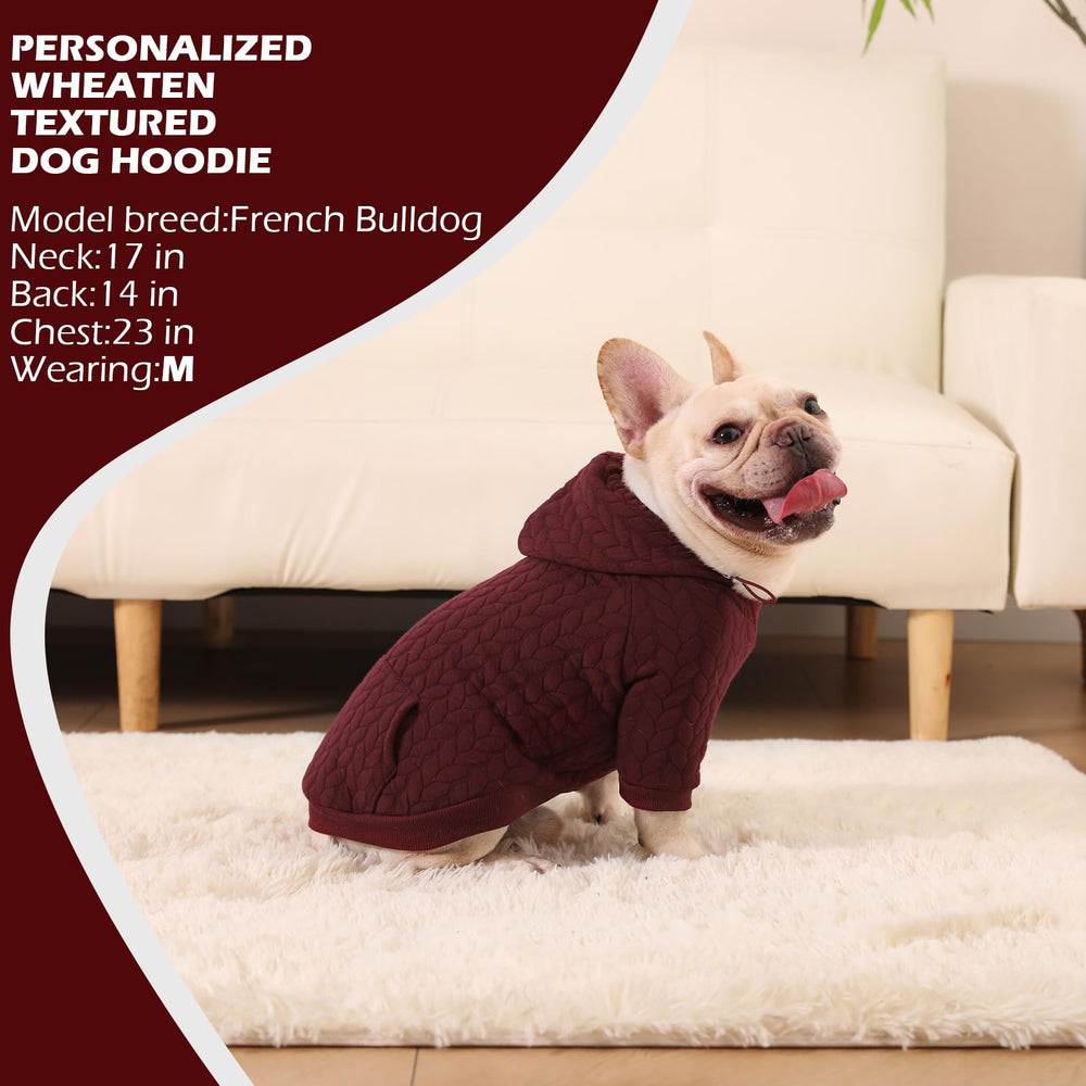 EXPAWLORER dog hoodie ideal for daily walks in cold weather