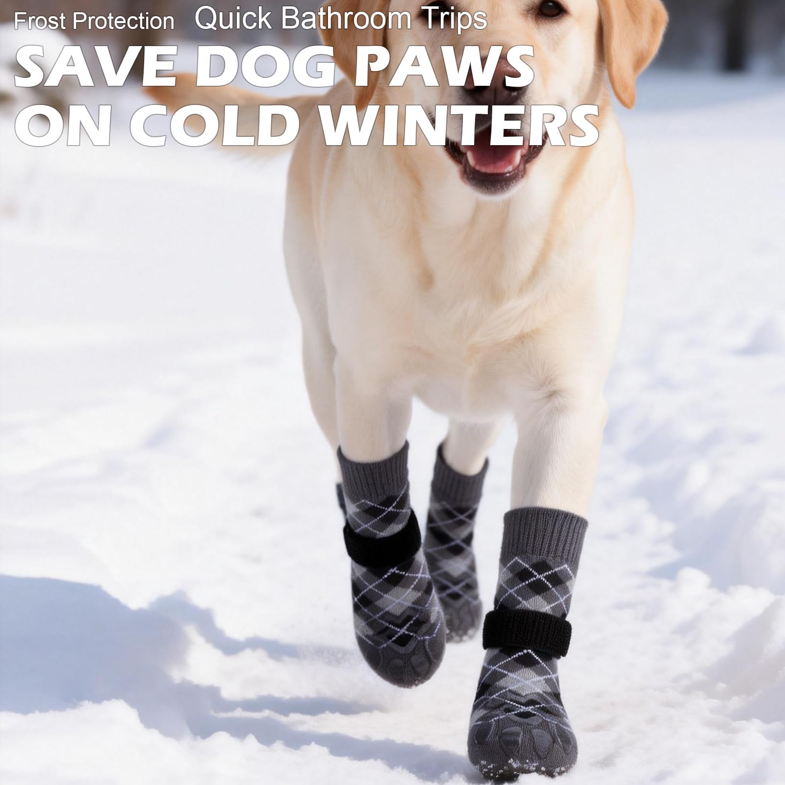 EXPAWLORER dog socks upgraded anti-fall strap for secure fit during active play