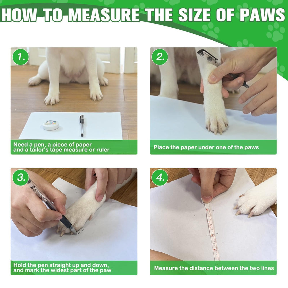 EXPAWLORER variedad-colores-perros-calcetines opciones para diferentes razas.