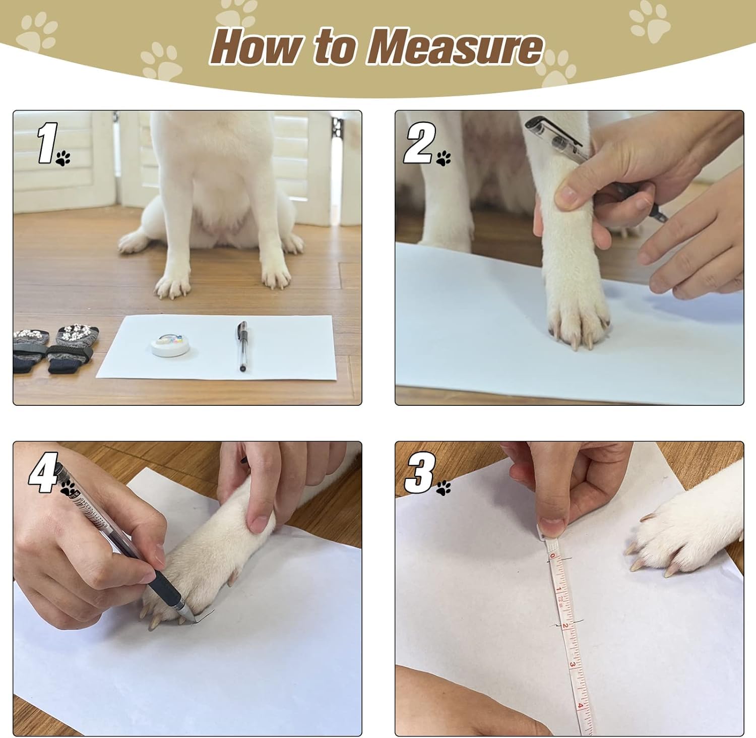 EXPAWLORER wide elastic straps demonstrating secure fit and anti-slip support.