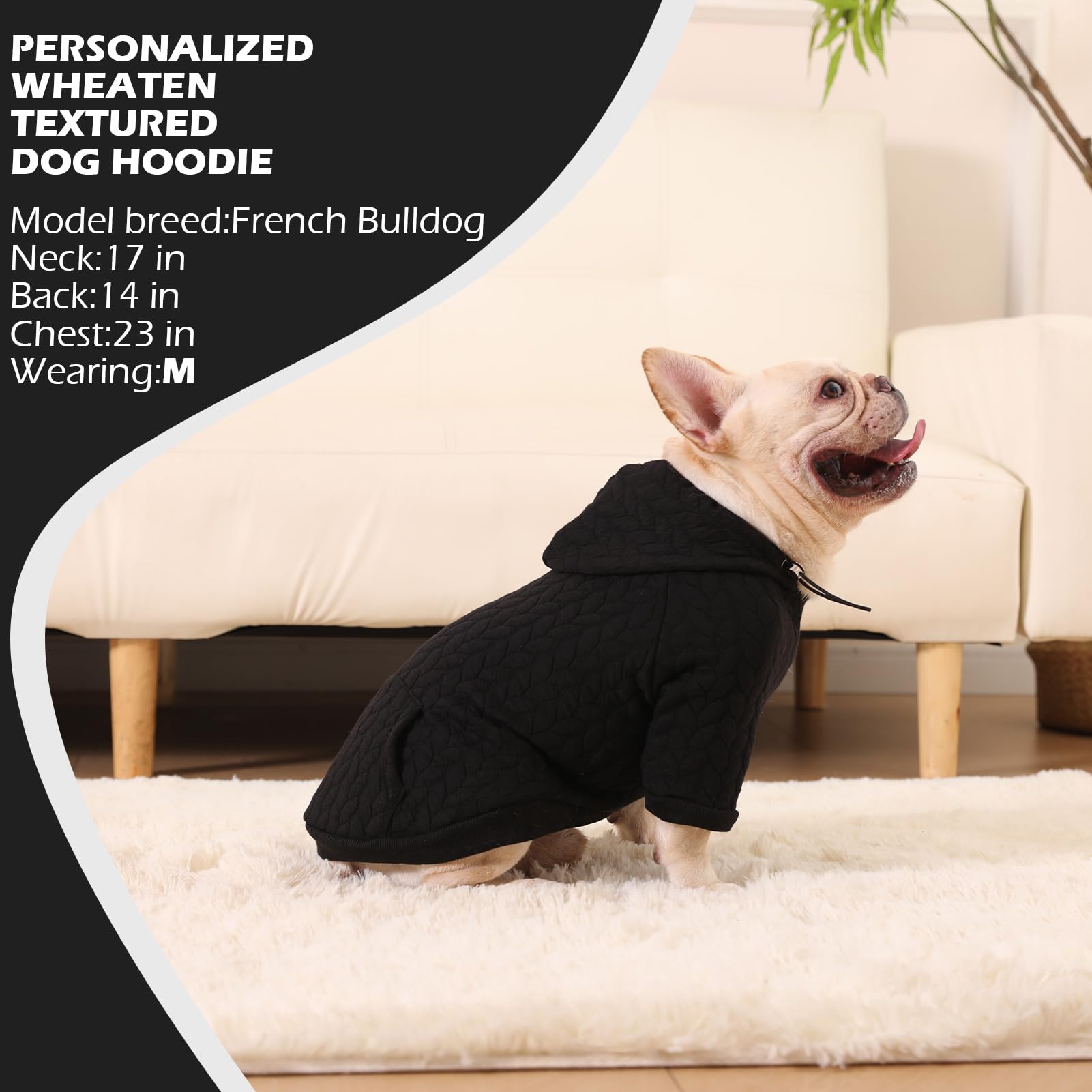 EXPAWLORER winter-warmth hoodie conveys cozy warmth for cold outdoor days