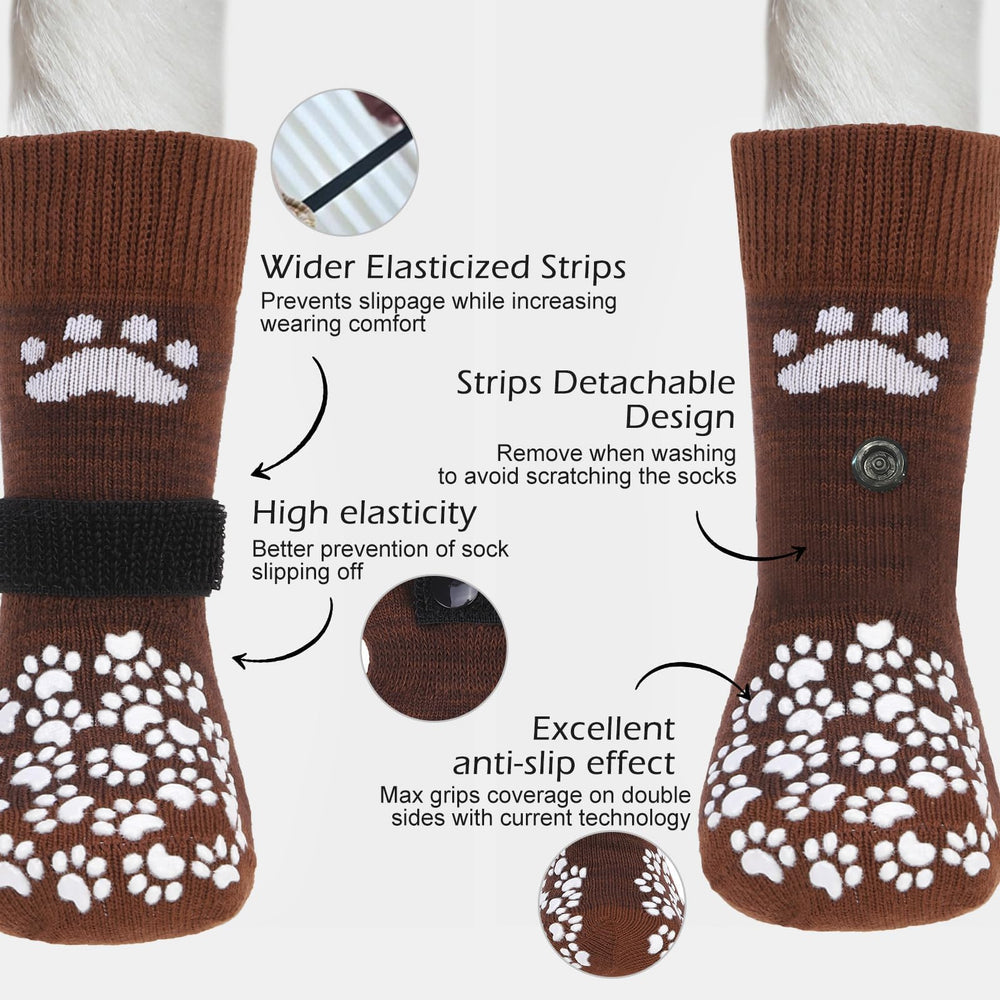 EXPAWLORER calcetines protegiendo patas frente a pavimento caliente