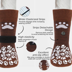 EXPAWLORER calcetines protegiendo patas frente a pavimento caliente