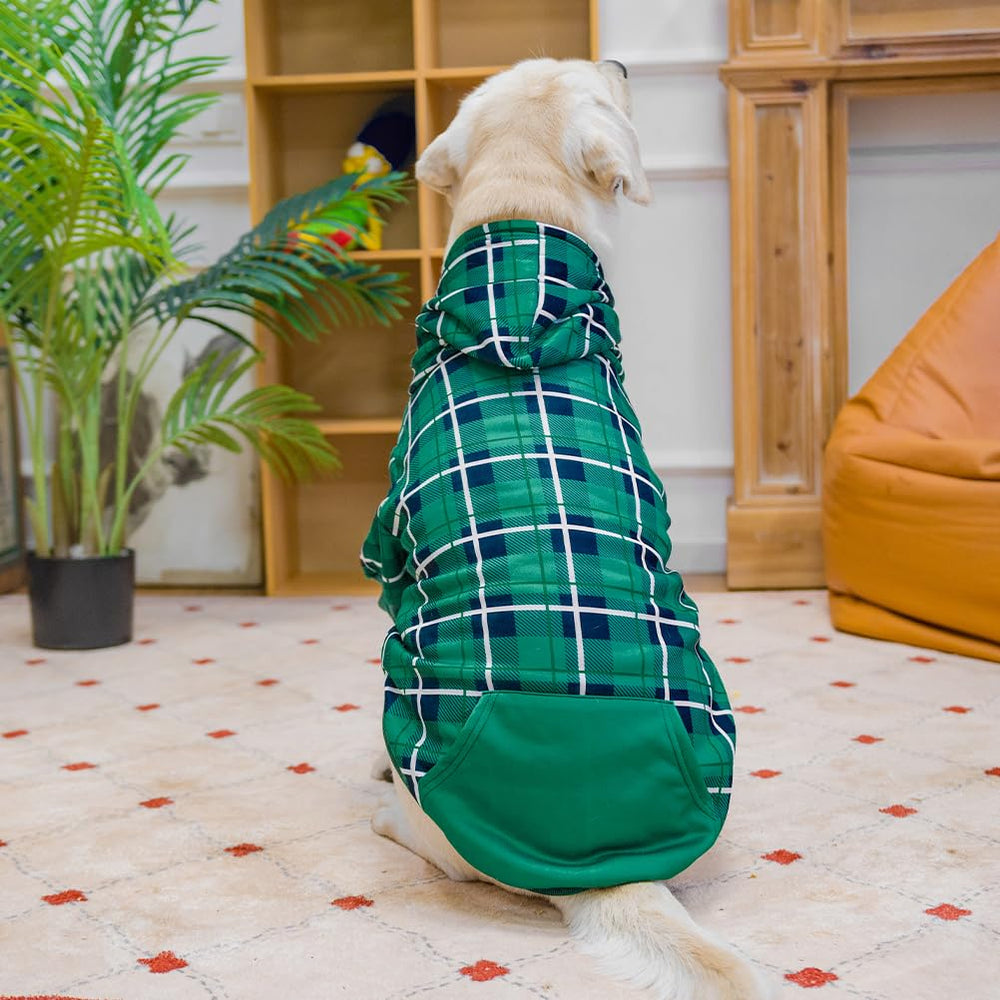 EXPAWLORER plaid dog hoodie folded and worn demonstrates versatile loungewear option.