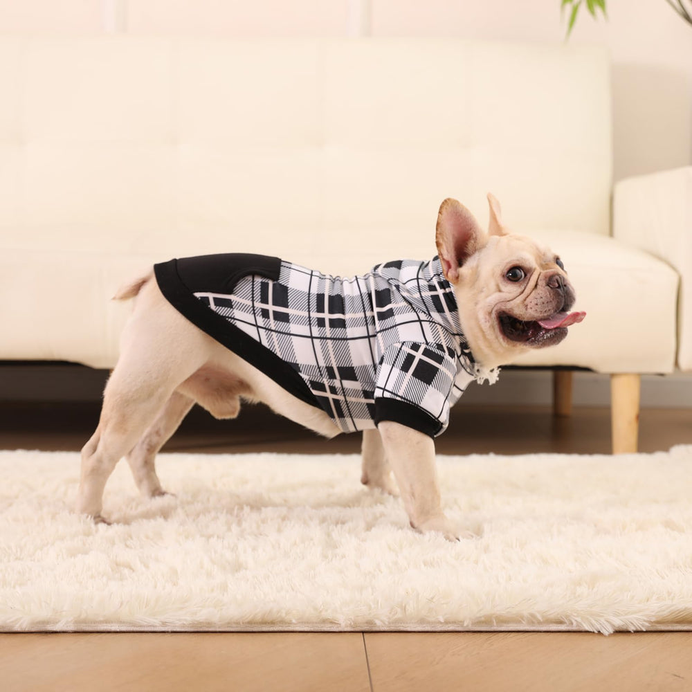 EXPAWLORER dog hoodie size chart display for the right fit.