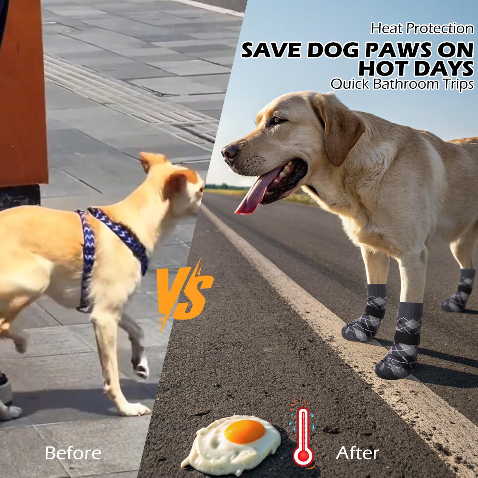 EXPAWLORER dog socks—breathable material for daily indoor and outdoor use.