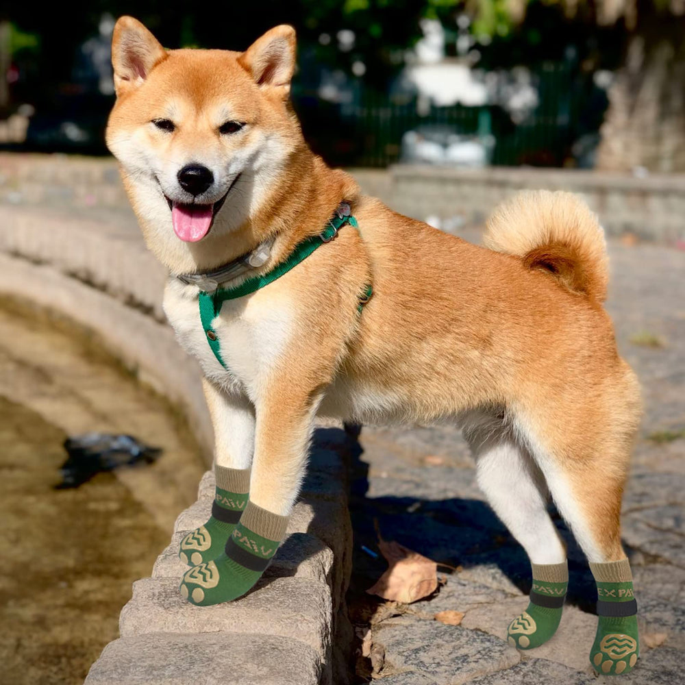 EXPAWLORER dog socks on hardwood floor show improved traction and grip