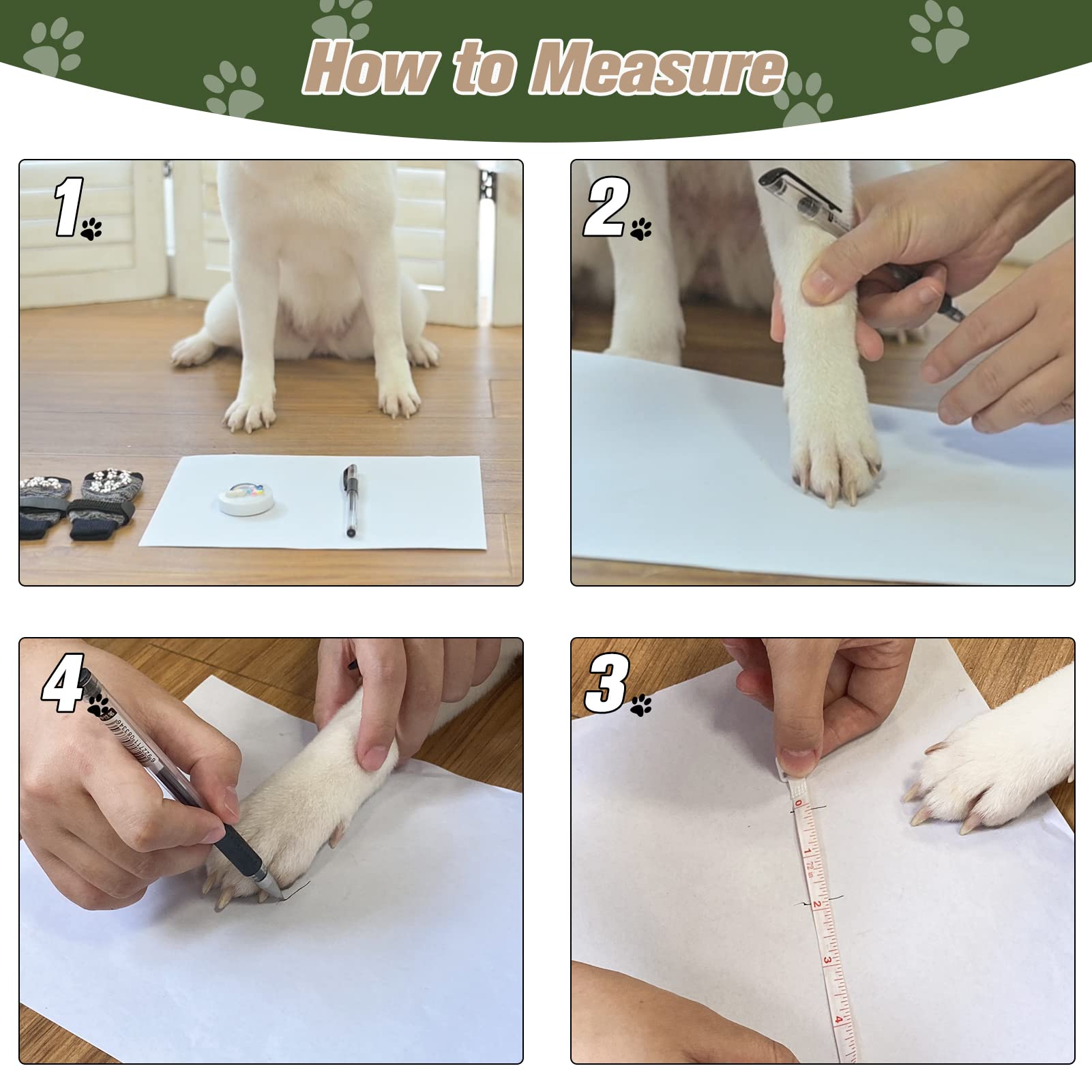EXPAWLORER 3-pair pack offers value for growing dogs and replacements