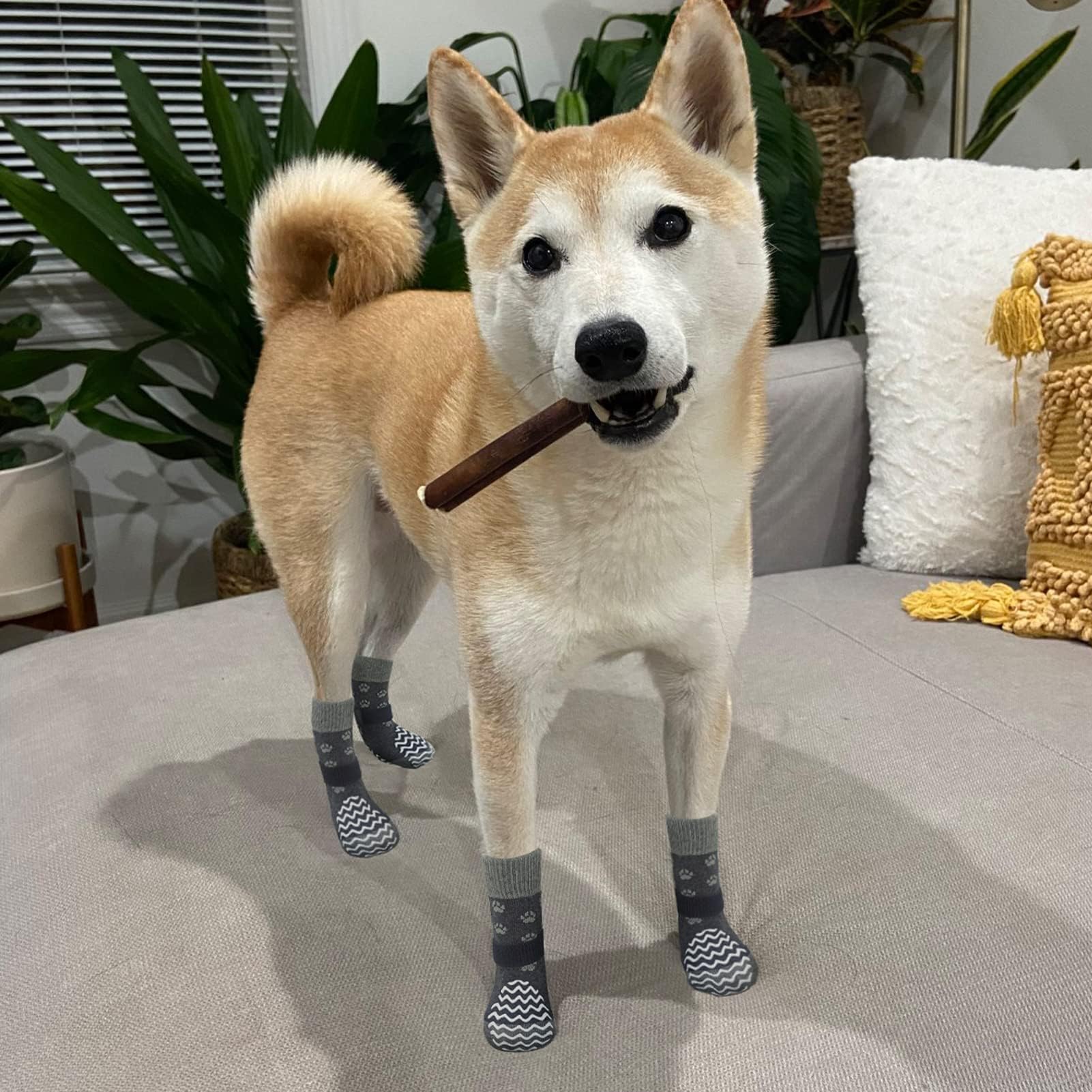 EXPAWLORER paquete de 4 calcetines con correas desmontables