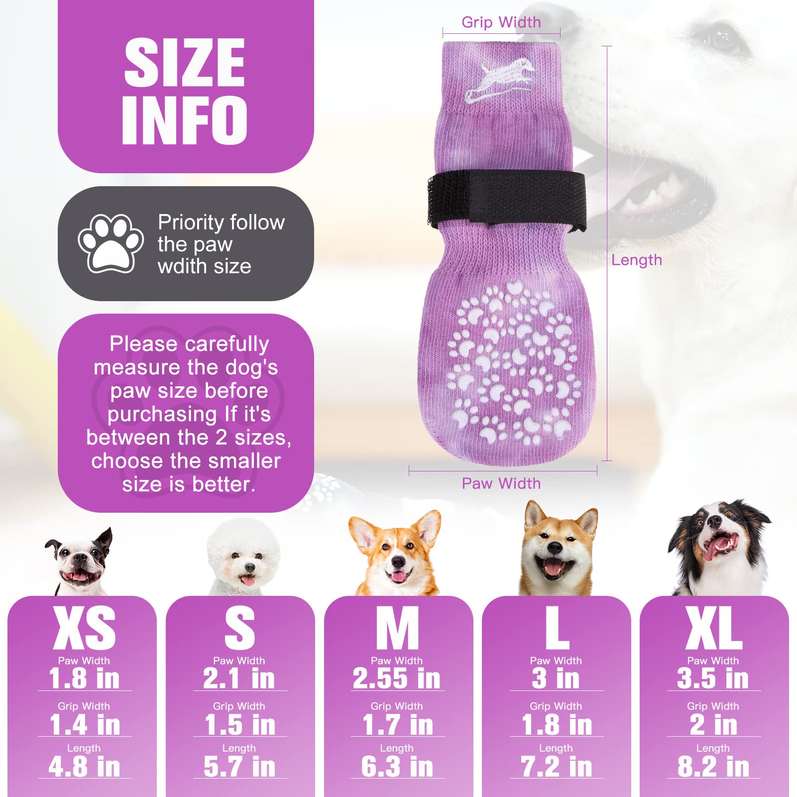 EXPAWLORER paw-lick prevention socks helping reduce paw licking