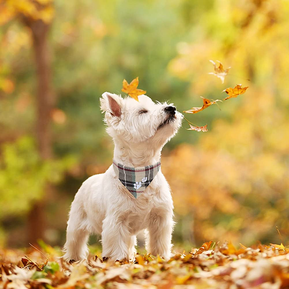 EXPAWLORER plaid pawprints collar for classic style and visibility