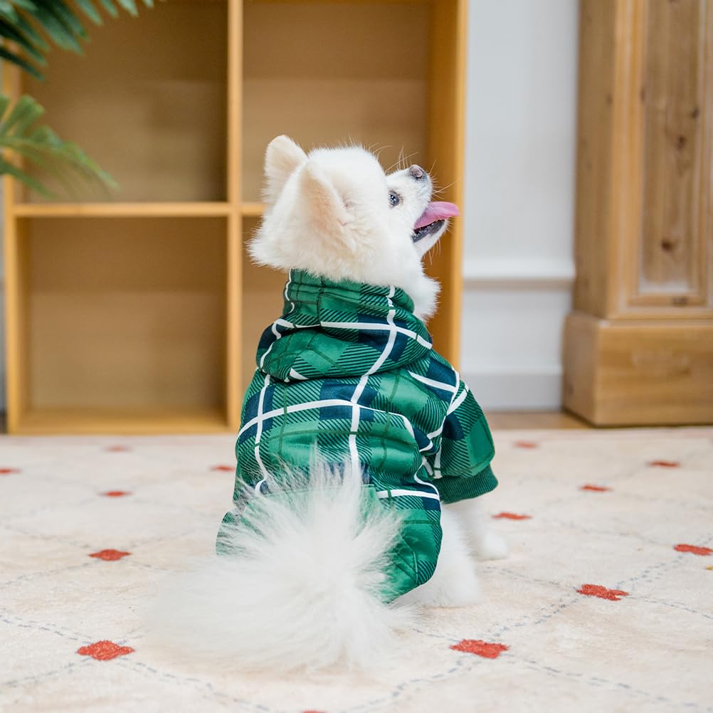 EXPAWLORER Plaid Dog Hoodie outdoor-walk shot emphasizes warmth during cool weather