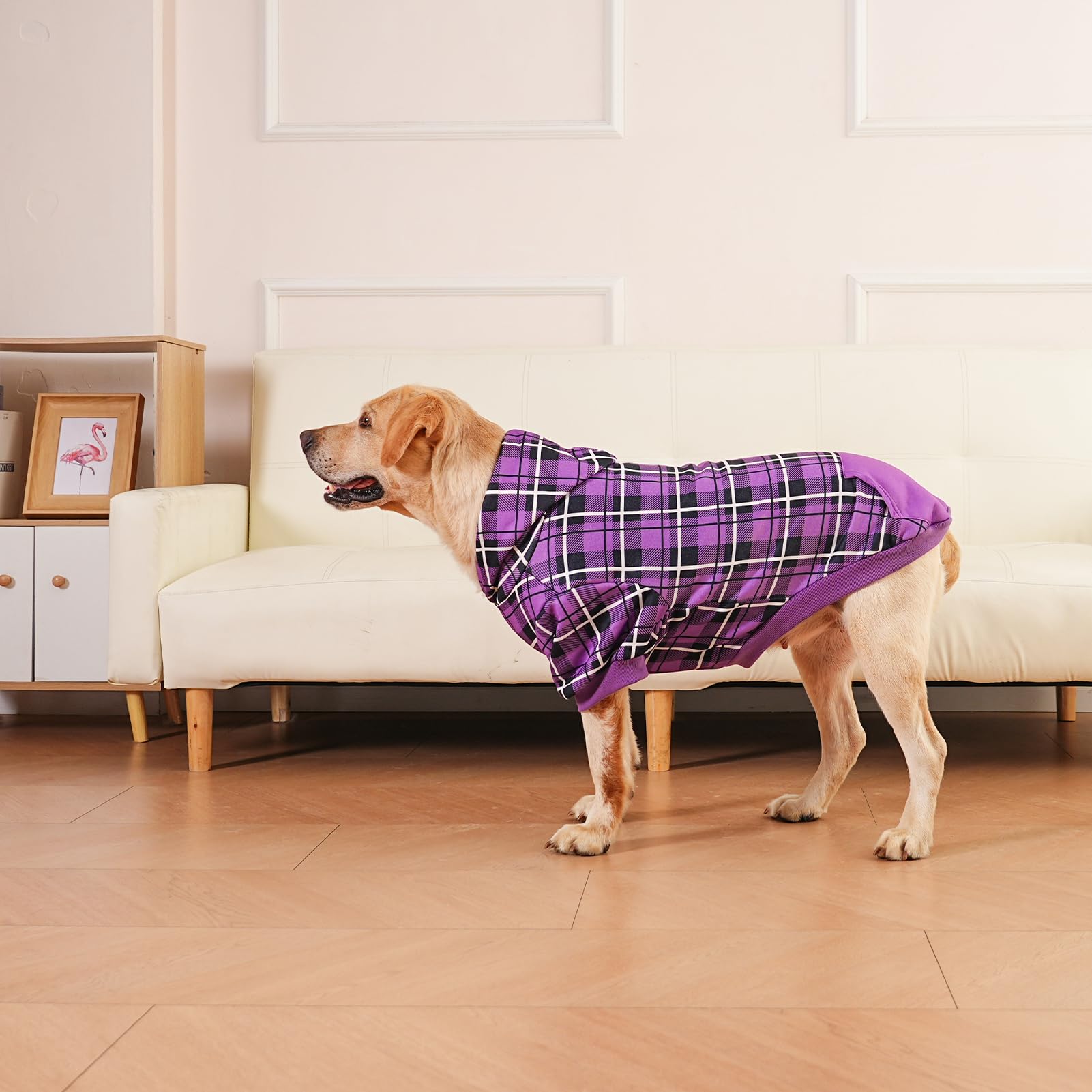 EXPAWLORER plaid dog hoodie size range ensures comfortable fit for most pets