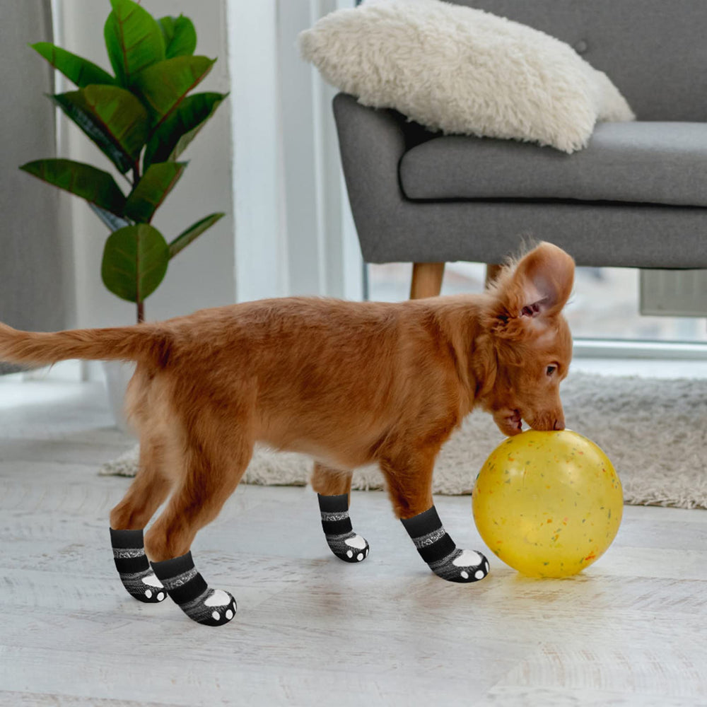 EXPAWLORER tallas múltiples aseguran compatibilidad con perros de diferentes tamaños.