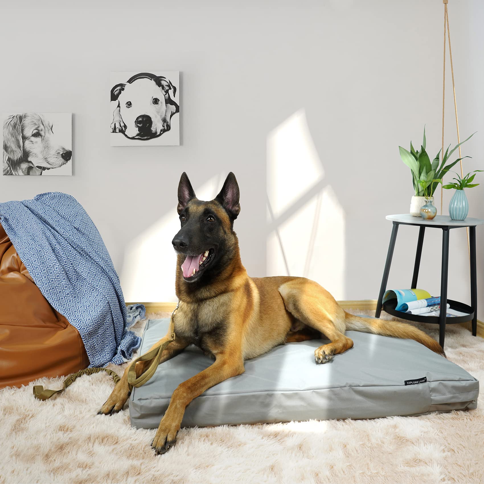 Explore Land heavy-duty canvas with waterproof undercoating guards against stains and leaks.