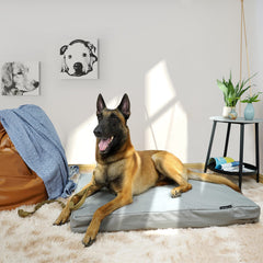 Explore Land heavy-duty canvas with waterproof undercoating guards against stains and leaks.