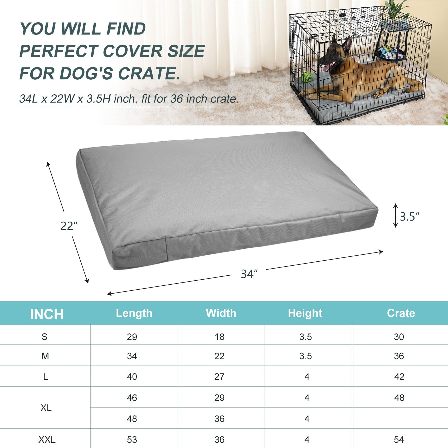 Explore Land 34L x 22W x 3.5H dimensions fit 36-inch crates securely.