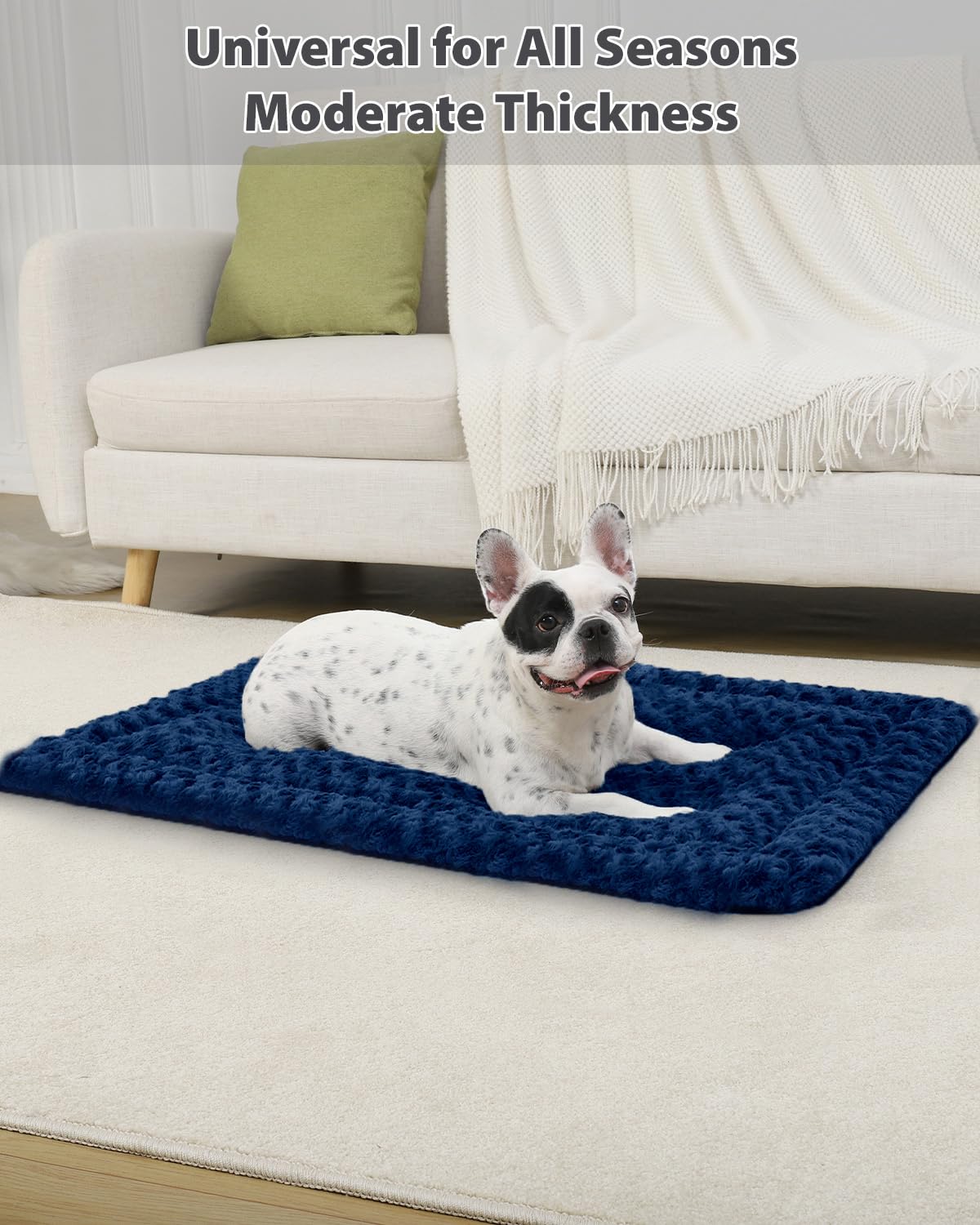 Exsnugy dog bed mat dimensions 41x27 inch for medium to large dogs