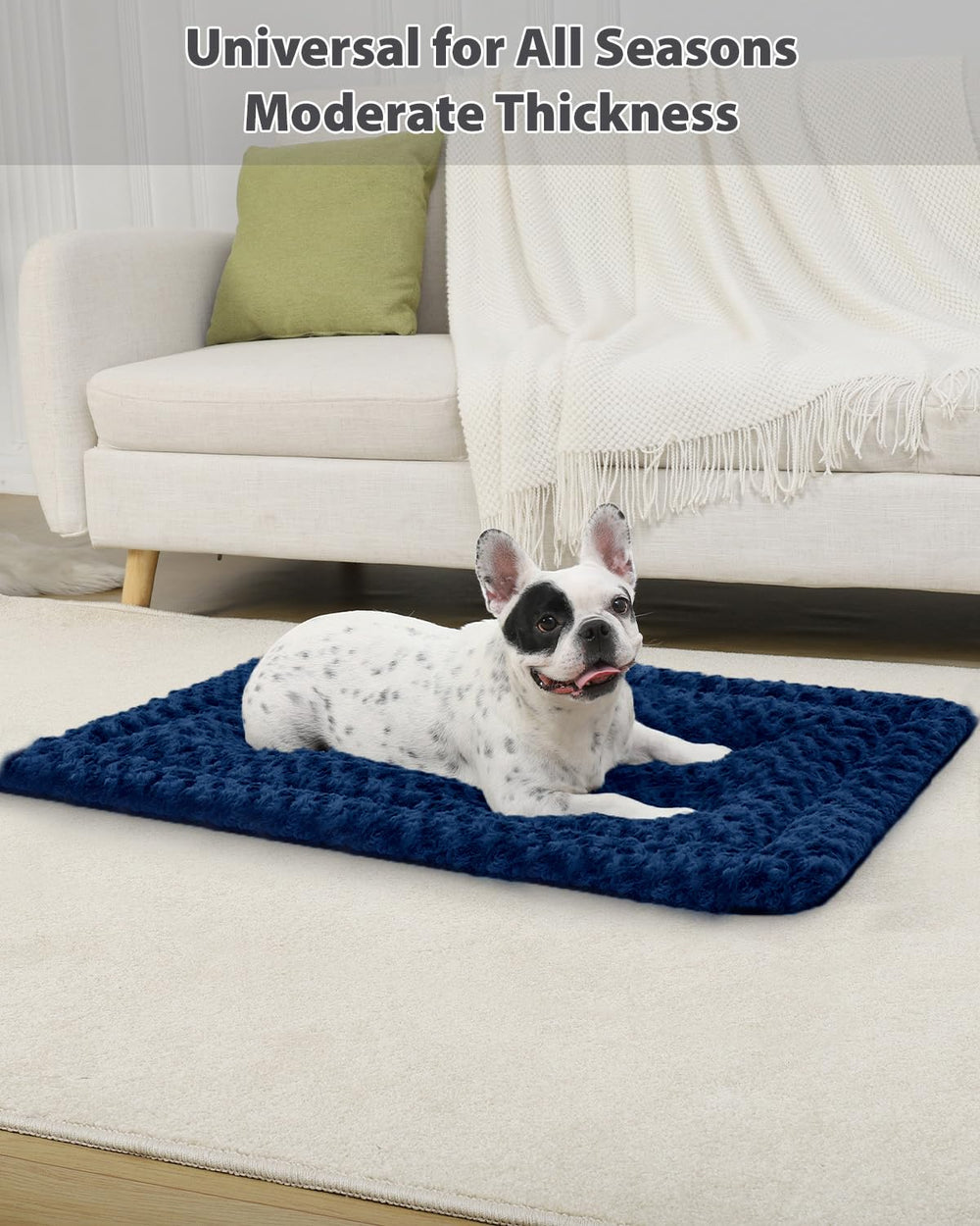 Exsnugy dog bed mat dimensions 41x27 inch for medium to large dogs