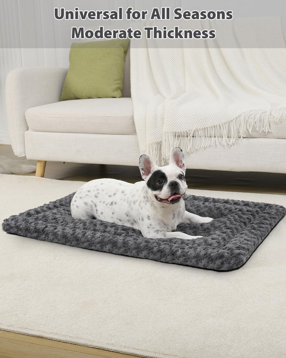 Exsnugy reversible dog crate pad with soft plush surface