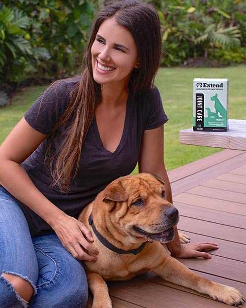 Extend Joint Care dog-chews—easy addition to active dogs' routines.