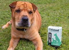 Extend Joint Care for Dogs gravy mix helps to mask powder texture for easier feeding.