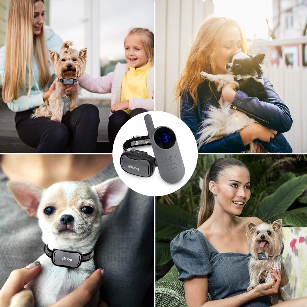 eXuby tiny shock collar remote pocket for quick corrections during walks