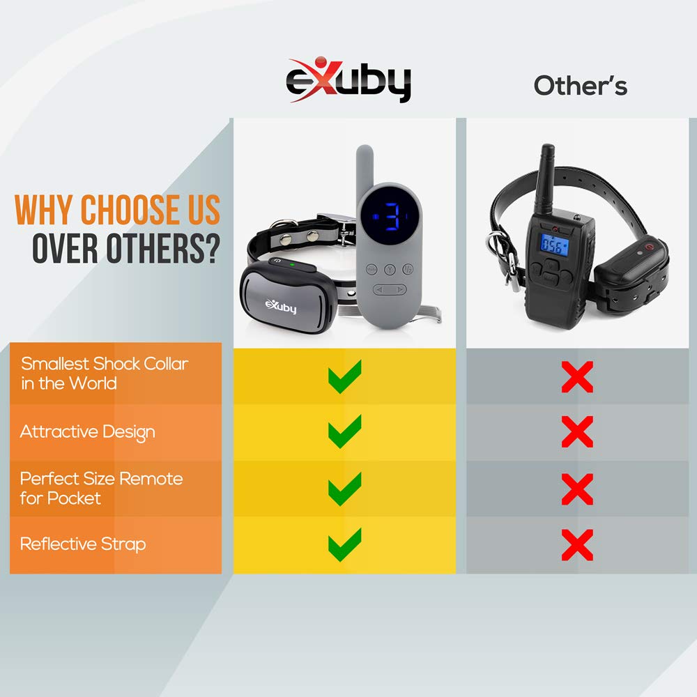eXuby water-resistant tiny collar for reliable outdoor training
