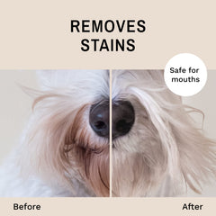 Eye Envy beard stain remover spray cat face demonstrates gentle natural care for beards.