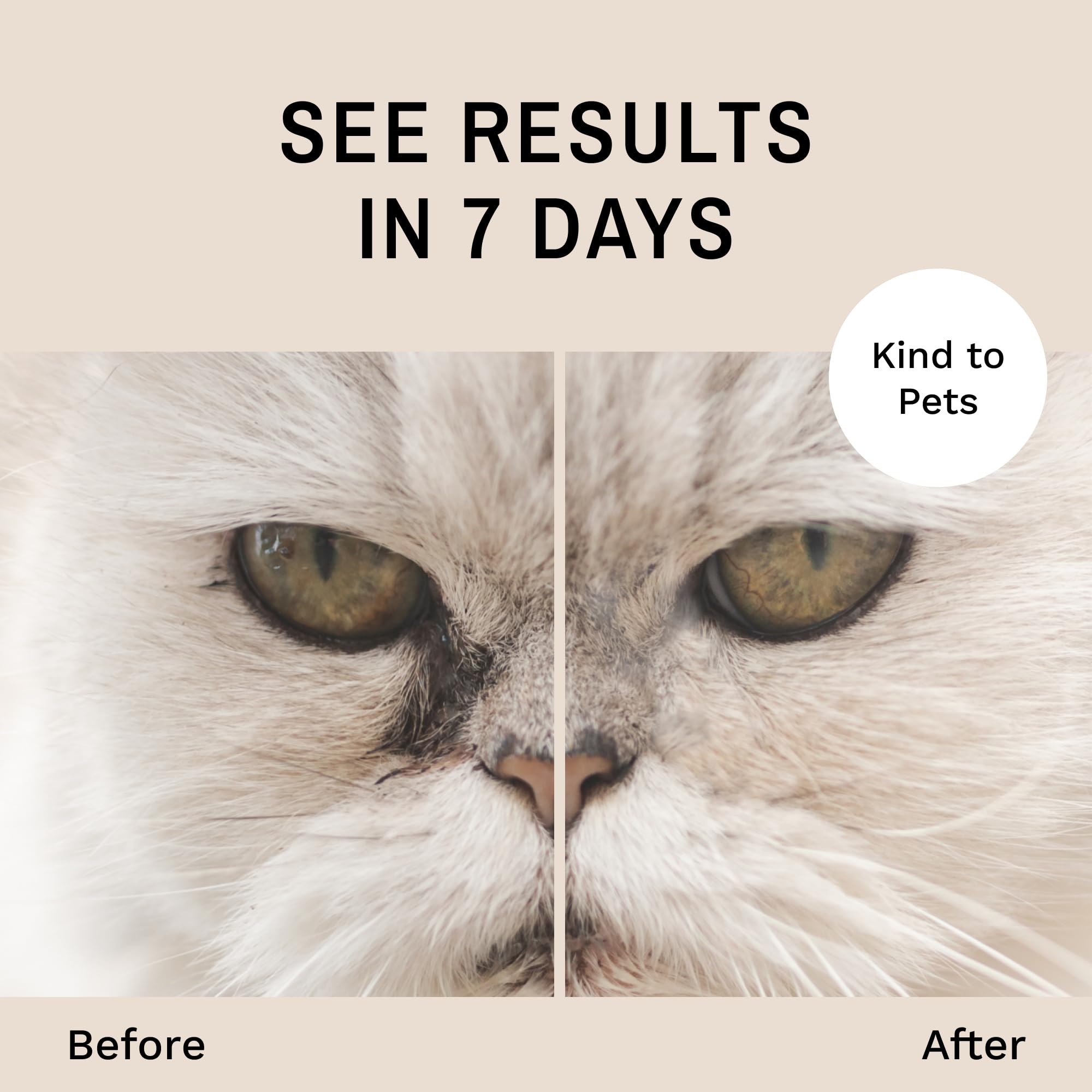 Eye Envy cat face before-after showing stain reduction.