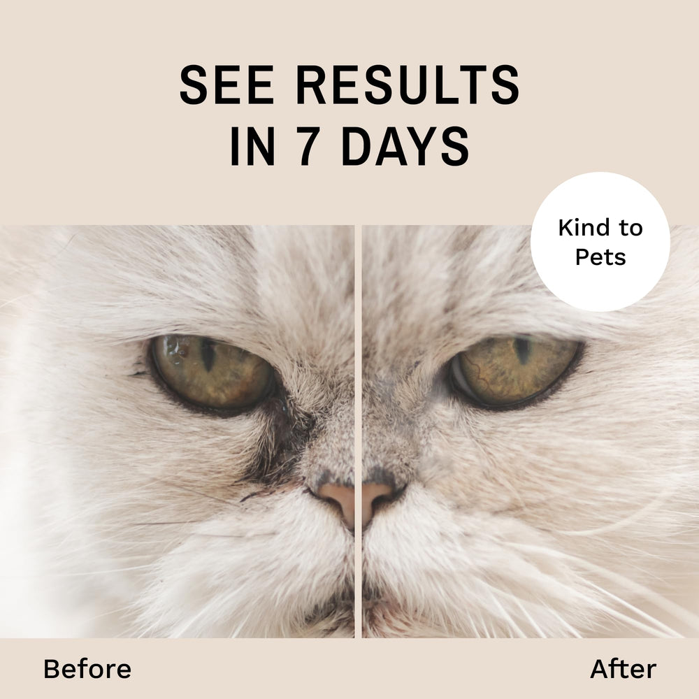 Eye Envy cat face before-after showing stain reduction.