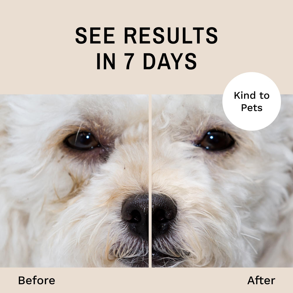 Eye Envy routine image shows an easy home-tear stain care workflow.