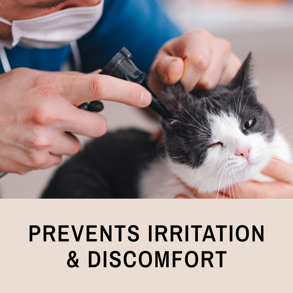 Eye Envy unscented wipes are ideal for sensitive cats to use daily.