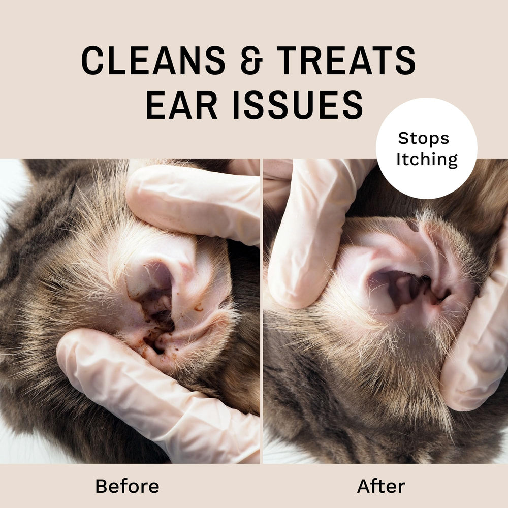Eye Envy Fresh Ear Cleaning Wipes are made in the USA with safe ingredients.