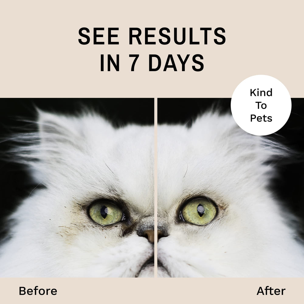 Eye Envy Tear Stain Remover Solution on wipes helps reduce staining