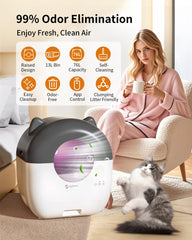 EYESUN multi-cat setup accommodates kittens to large cats easily