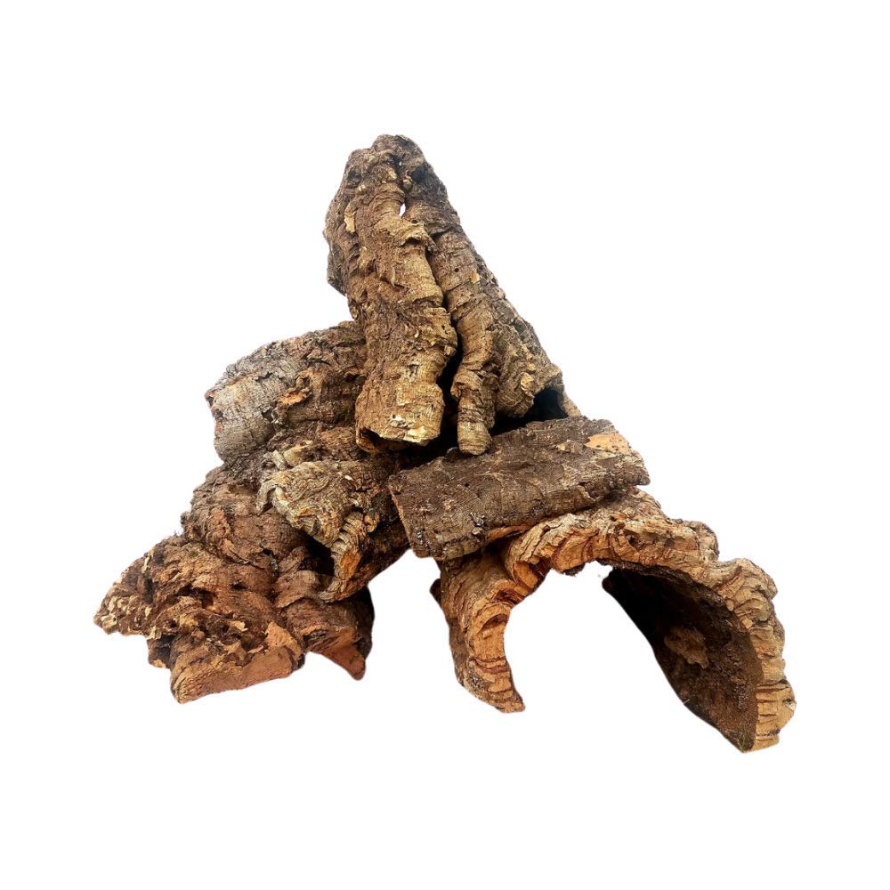 EZ Botanicals cork bark 1lb assorted for terrariums enhances natural decor and habitat